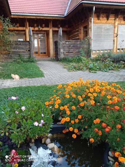 Apartman Egy Makovecz Imre Tervezte Hazban Ispánk Exterior photo